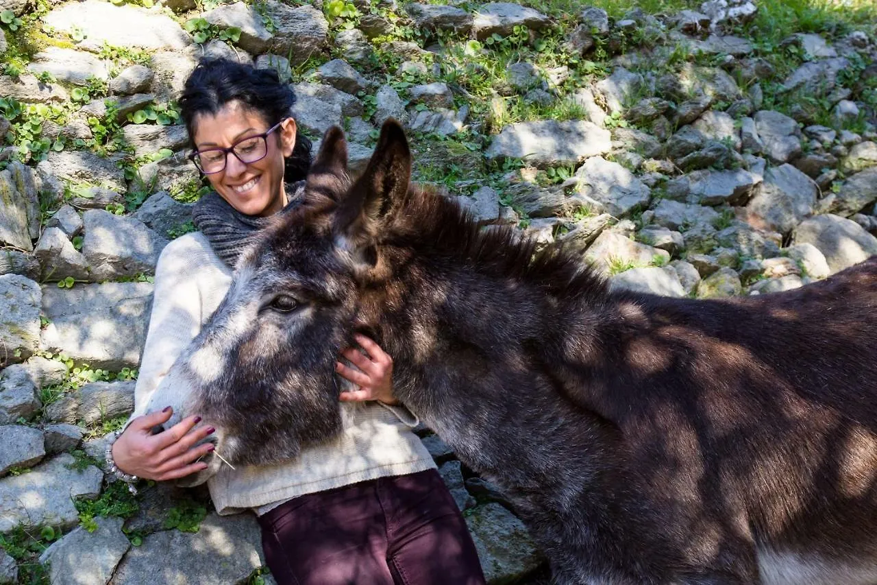 Farm stay Agriturismo A Ca Vegia Calice Ligure